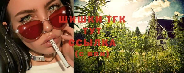 a pvp Аркадак