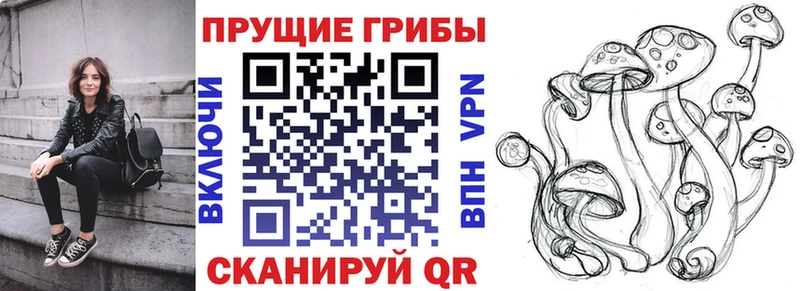 Псилоцибиновые грибы MAGIC MUSHROOMS  Петрозаводск 